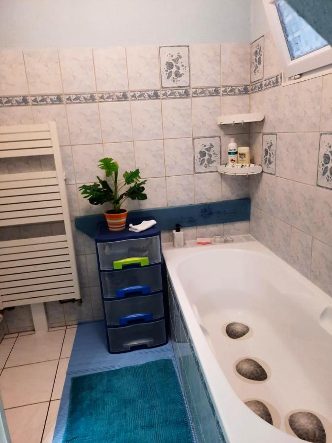 Appartement de 2 chambres avec jardin amenage a Ingersheim Extérieur photo